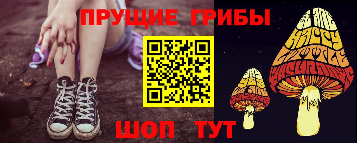 Псилоцибиновые грибы ЛСД  Вход с VPN  Железногорск  Галлюциногенные грибы MAGIC MUSHROOMS 