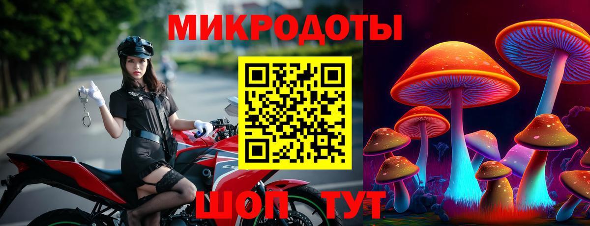 Псилоцибиновые грибы Psilocybine cubensis Железногорск